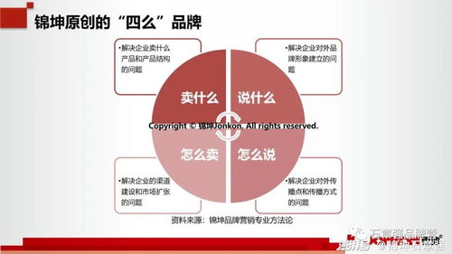 科技行業第一品牌的頂層設計與底層運營 互聯網銷售的制勝之道
