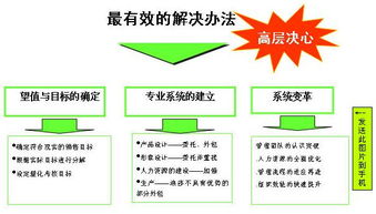 浪莎紅 數字化時代的內裝品牌互聯網營銷戰略策劃方案